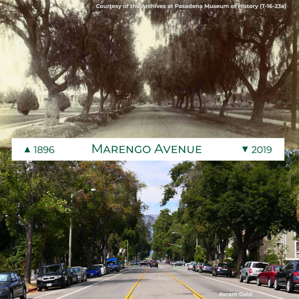 Marengo Avenue 1896 and 2019