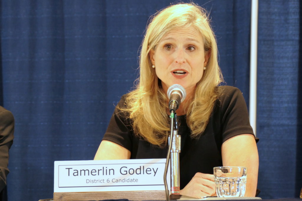 Tamerlin Godley